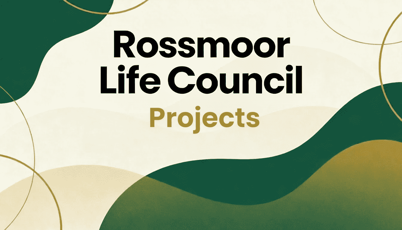 Previous Projects List